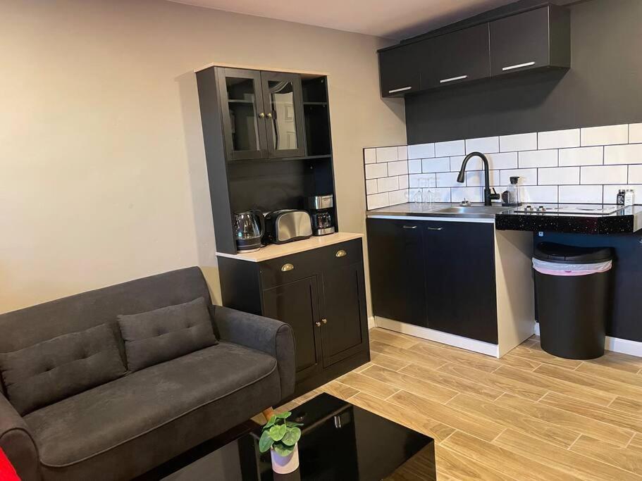 New Midtown Modern Studio With Backyard Феникс Экстерьер фото